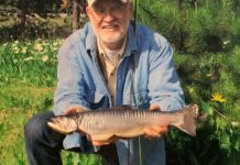 Dennie D. Ely, 77 | Coeur d’Alene Press