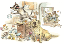 How a Lab Made Peace with a Lovestruck Siamese – Garden & Gun