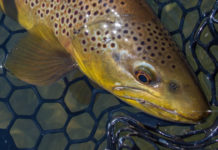 Ask the Experts: When to Stay vs. When to Move