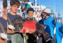 ‘Tis the season to get the kids fishing