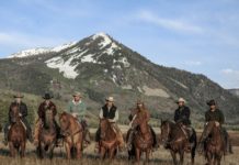 Yellowstone Season 4 Premiere Draws Massive 8 Million Viewers