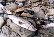 Spinning for Trout with Lures, Soft Baits, Flies and Bubble Floats