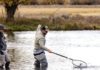 Fly-fishing programs catch on as therapy for troops and veterans recovering from trauma