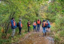 DEM offering free cooking classes, guided walks, and virtual programs this winter