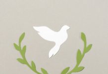 Alden Reed Gilman, 93 | Port City Daily