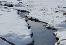 November rain guarantees ideal freshwater conditions | The Canberra Times