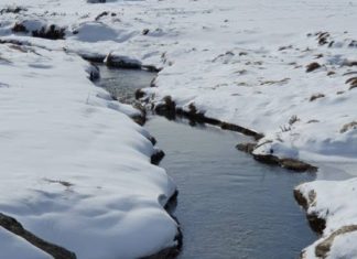 November rain guarantees ideal freshwater conditions | The Canberra Times
