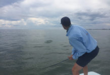 Pro Tips: 3 Keys to Fighting Redfish