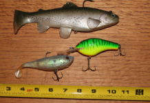 Cold weather lunker bass! | Kern Valley Sun