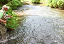 An “ordinary Joe” whose talent changed people’s lives