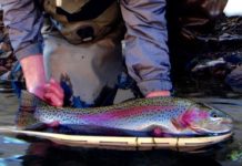 On the Fly: When time and effort intersect