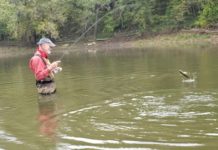 Easy Shiner a reliable fishing partner