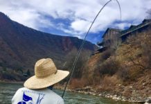 On the Fly: Life is Short, Change is Constant