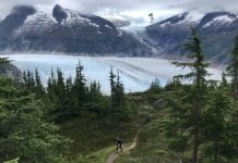 U.S. Moves to Restore Full Protections in Alaska’s Tongass National Forest