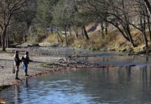 Just a look when hooked