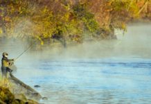 Gallery: Our 2021 Photos of the Year