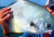 Cold front will mix things up