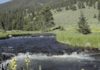 It’s not too late to go fishing in Northern New Mexico | Environment
