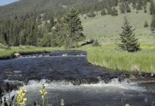 It’s not too late to go fishing in Northern New Mexico | Environment