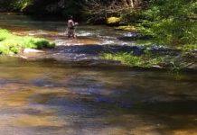 Wade into the winter waters for fly fishing | Hcnc