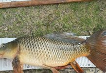 Local man sets new fly-fishing world record on Lake Granbury | Community