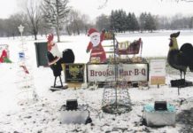 Scaled-back New Year’s still offers series of events | Local News