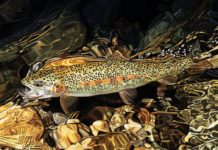 Art Gallery: AD Maddox – Cowboys and Indians Magazine