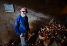 Aging Farmers, Vanishing Farmland