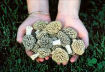 Still need holiday shopping ideas? Give – or get – the gift of outdoor recreation skills – The News Herald