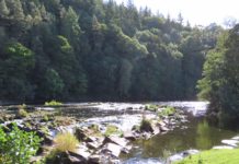 Gone Fishing: The Consultant’s View – The Eden & Tyne