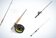Best Beginner Fishing Rods of 2022