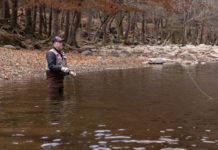 Water in the Blood – Cityview