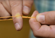 Videos: How to Tie a Bimini Twist