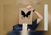 Inside the High-Stakes World of Undercover Wildlife Agents