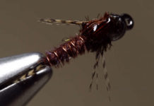 Video: How to Tie the DPD Nymph