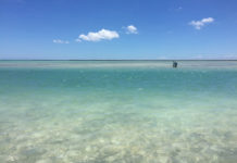 Pro Tips: 3 Signs of a Productive Fishing Flat