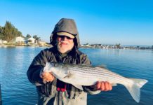 Napa-Sonoma Marsh worth a hook