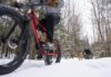 Deep in the Woods on a Fat Bike