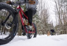 Deep in the Woods on a Fat Bike