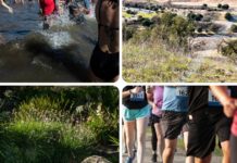 Start 2022 with a polar bear swim, run or hike