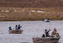 Fly-fishers are heading to higher ground | The Examiner