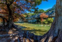 Guadalupe River State Park – WorldAtlas
