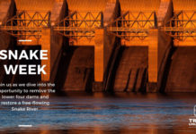 Wednesday Wake-Up Call 12.15.21 – Orvis News