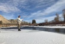 Salomone: Bundle up, baby it’s cold outside