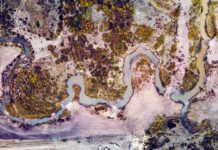 Forest Service project reconnects creek and its floodplain in native-species rich California Park