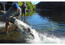 Siuslaw News | Trout time