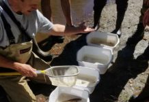 Stone Mountain offers recreation, education