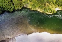 Manawatū River drownings have explanations aside from ‘dangerous’ water conditions – reports