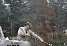 Trout stocking continues locally and across state | Sports