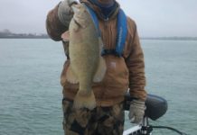 Scattershots: Greater Niagara Fishing Expo cancels 2022 event | Outdoors